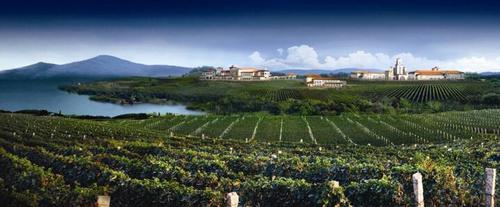 蓬莱市创建优质葡萄酒产品生产基地